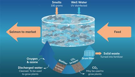 Aquaculture structures .